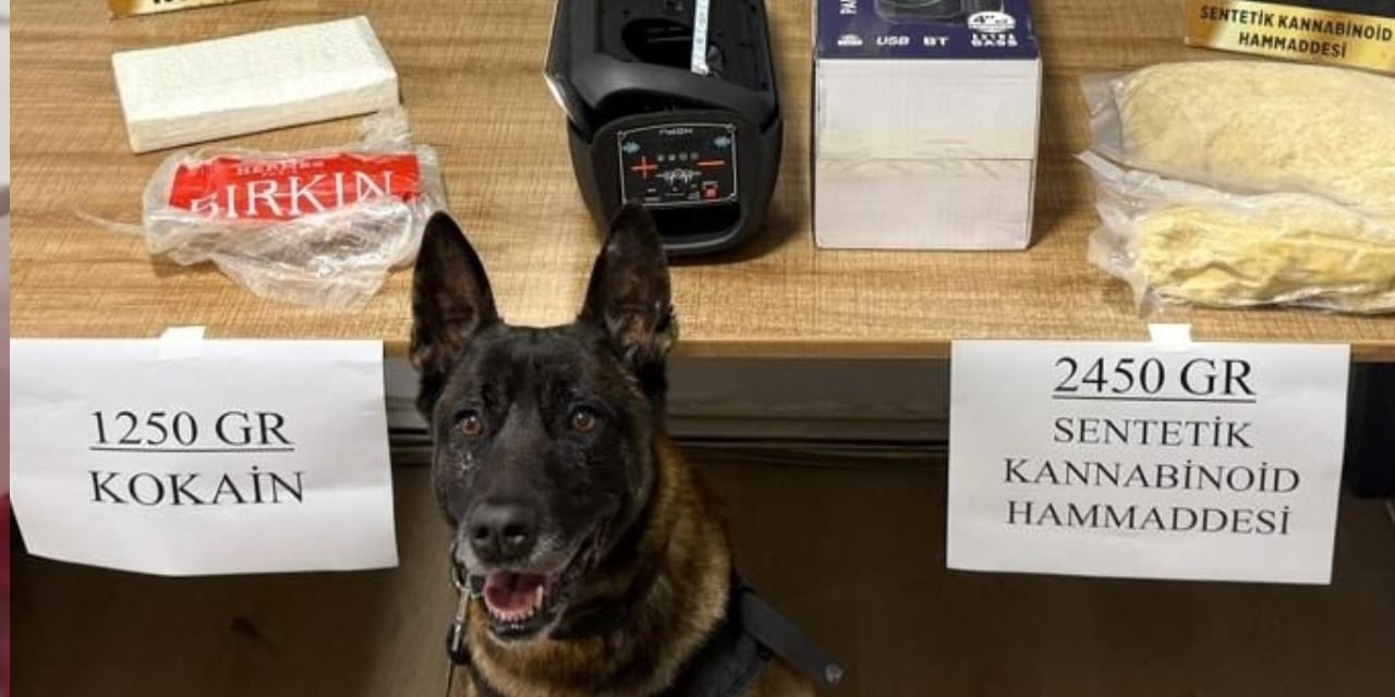 Narkotik Dedektör Köpeği Operasyonda Başarı Gösterdi: 3 Kilo 700 Gram Uyuşturucu Ele Geçirildi!