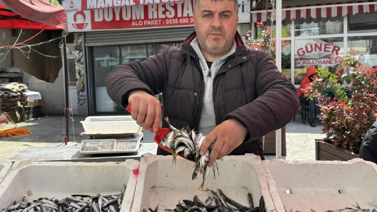 Tezgahlarda Değişim: Hamsi ve Palamut Yerini Mezgit’e Bırakıyor! Kilosu 350 TL