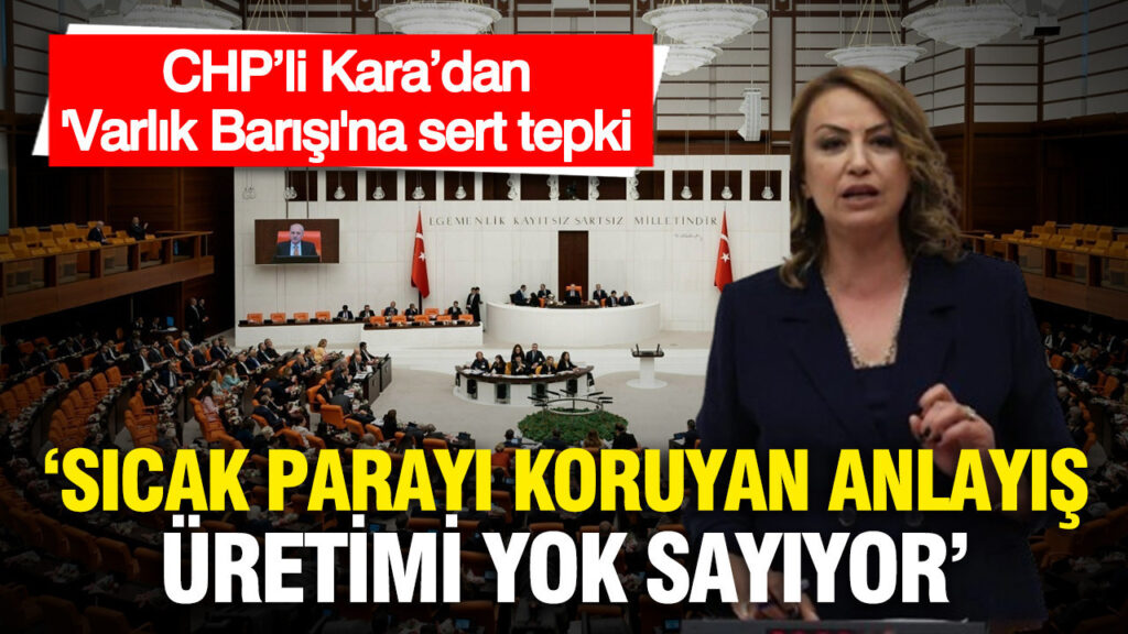 CHP’li Nermin Yıldırım Kara’dan Varlık Barışı Teklifine Sert Eleştiri: “Sıcak Para Üretimi Yok Sayıyor”