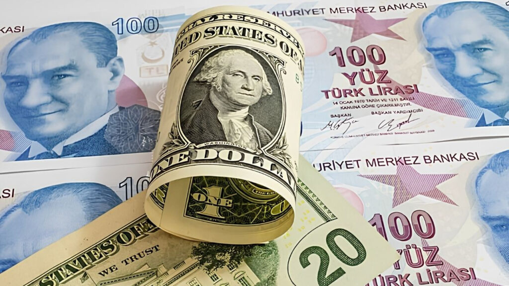 Dolar/TL Tarihi Zirveye Ulaştı