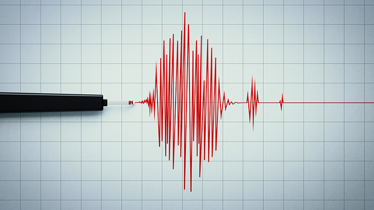 Yeni zelandada tsunami uyarisi i9KLkgtB
